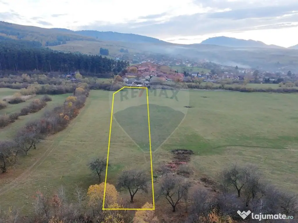 Teren 5.800 mp Purcareni curent, gaz, apă / Strada 30 de...