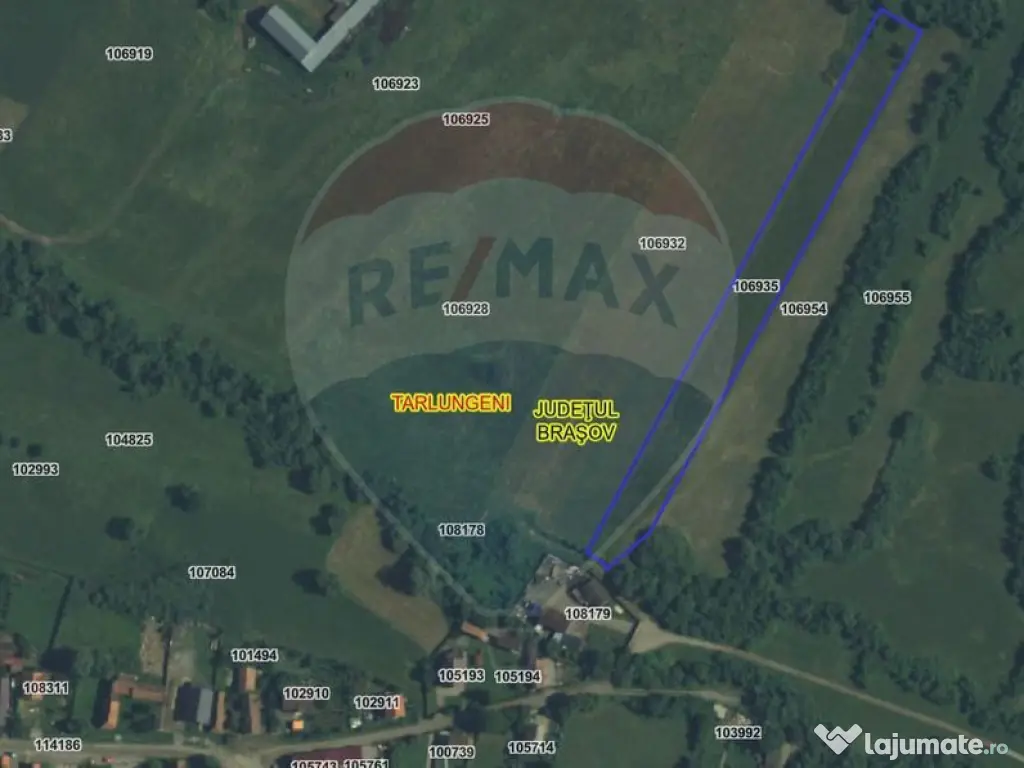Teren 5.800 mp Purcareni curent, gaz, apă / Strada 30 de...