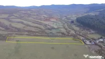 Teren 5.800 mp Purcareni curent, gaz, apă / Strada 30 de...