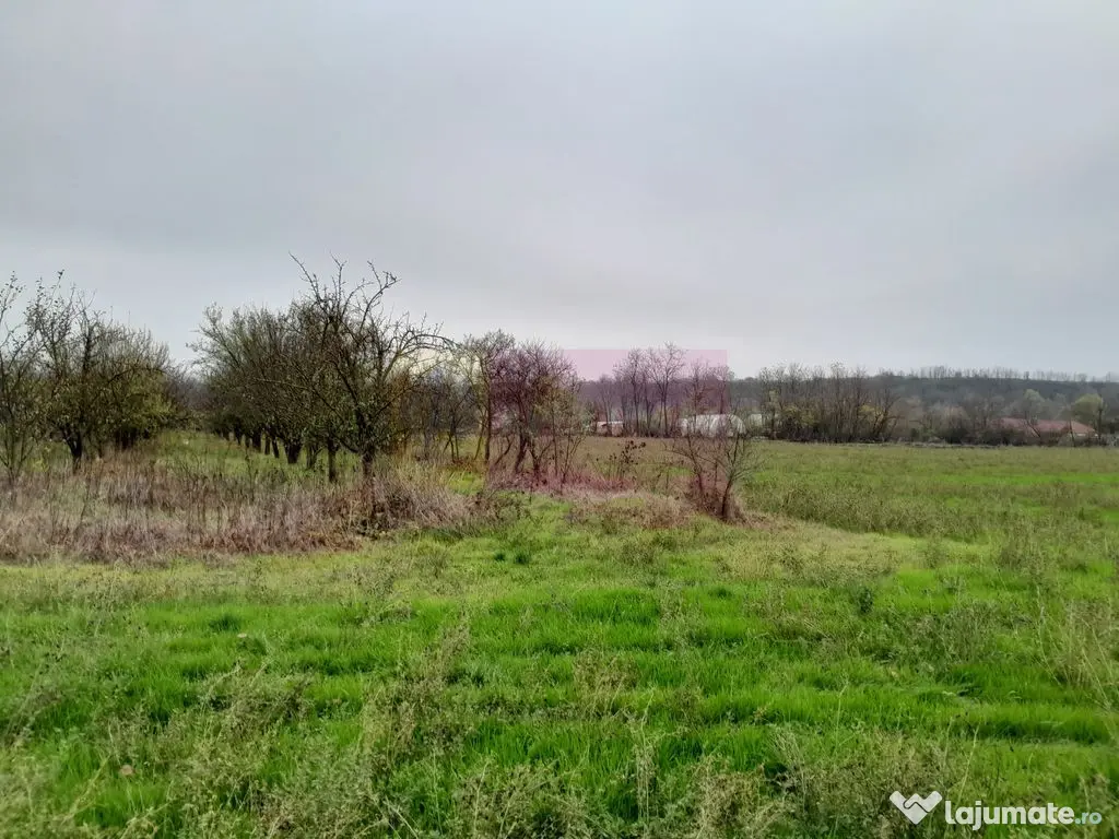 BARCANESTI - casa +curte+teren 16k mp