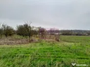 BARCANESTI - casa +curte+teren 16k mp 