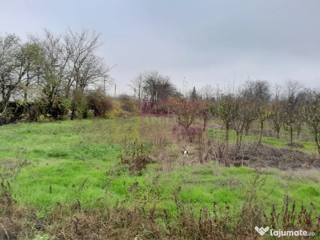 BARCANESTI - casa +curte+teren 16k mp