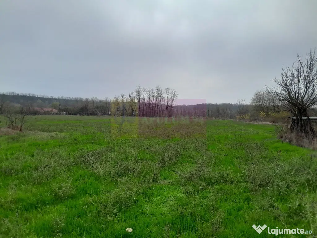 BARCANESTI - casa +curte+teren 16k mp