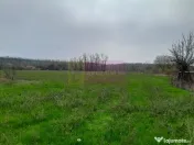 BARCANESTI - casa +curte+teren 16k mp 