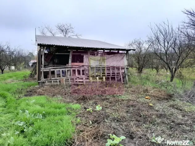 BARCANESTI (IL) - SE VINDE CASA + TEREN 16K MP - Barcanesti (Ialomita)