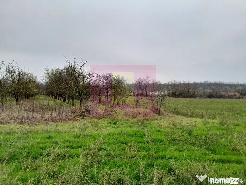 BARCANESTI (IL) - SE VINDE CASA + TEREN 16K MP - Barcanesti (Ialomita)