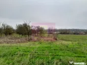 BARCANESTI (IL) - SE VINDE CASA + TEREN 16K MP