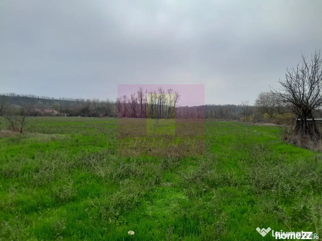 BARCANESTI (IL) - SE VINDE CASA + TEREN 16K MP - Barcanesti (Ialomita)