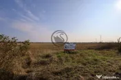 Teren de vanzare | 5050mp | Zona de Nord, Ploiesti | COMI... 
