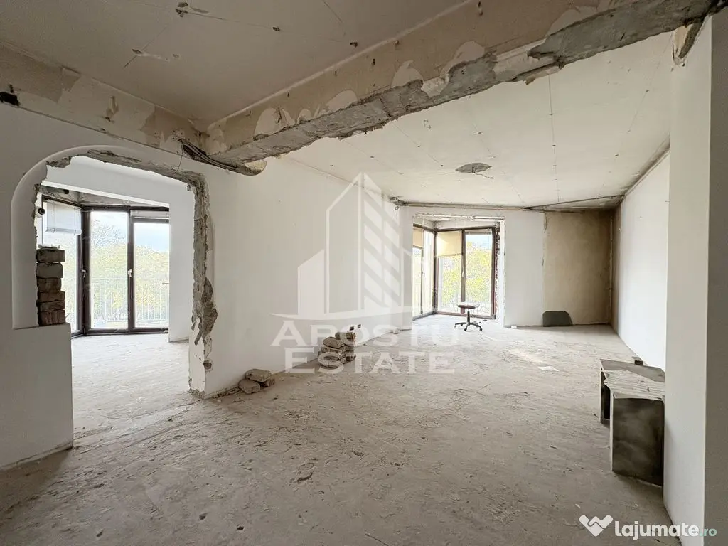Vedere superbă spre Parcul Botanic, apartament 3 camere, Piața Unirii - Timisoara (Timis)