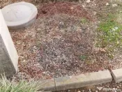 Teren/Loc de casa parcelabil, intre case, 800mp Simnicu d... 