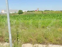 Oportunitate Investitie Teren Deschidere 20mp ,Carcea, Zona