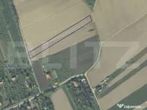 Teren intravilan 41 arii Zona Viile Satu Mare