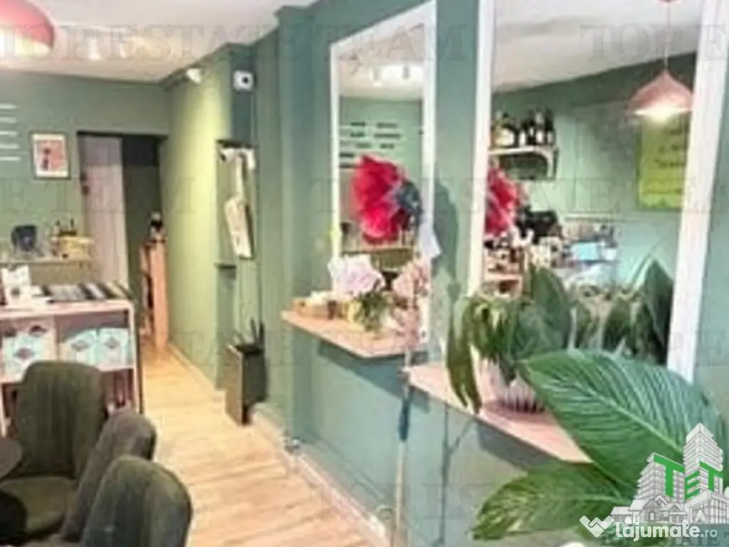 Spatiu comercial-venit lunar la cheie.