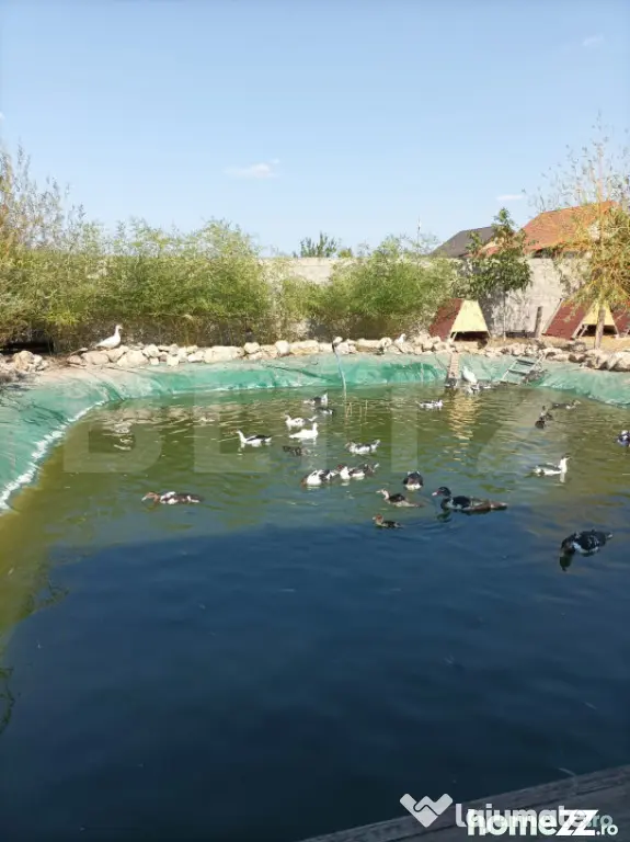 PASTRAVARIE /VILA 160 mp/3 HA teren - Baba Ana (Prahova)