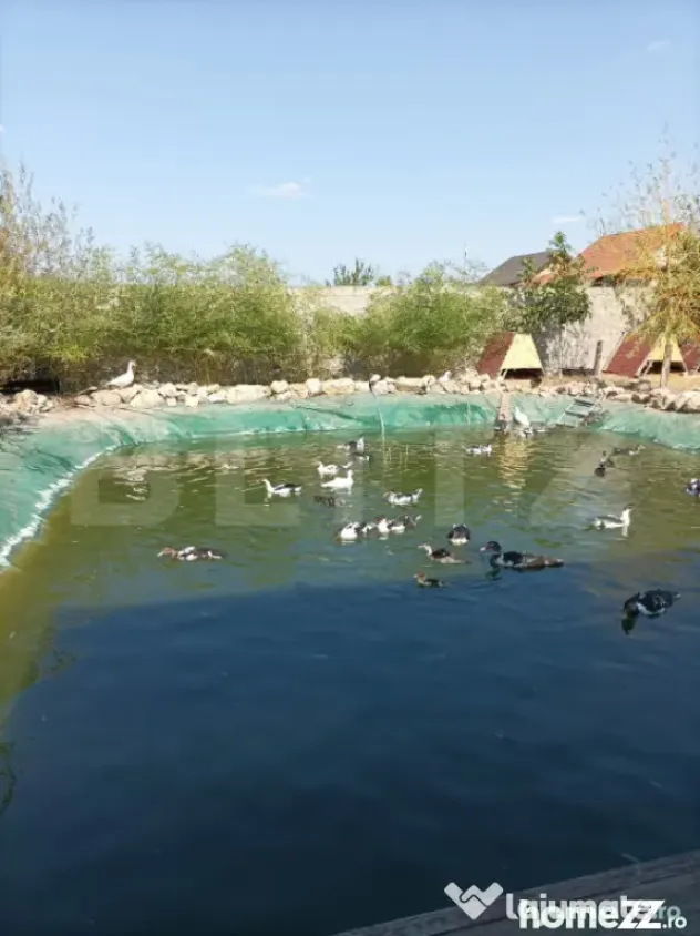 PASTRAVARIE /VILA 160 mp/3 HA teren - Baba Ana (Prahova)