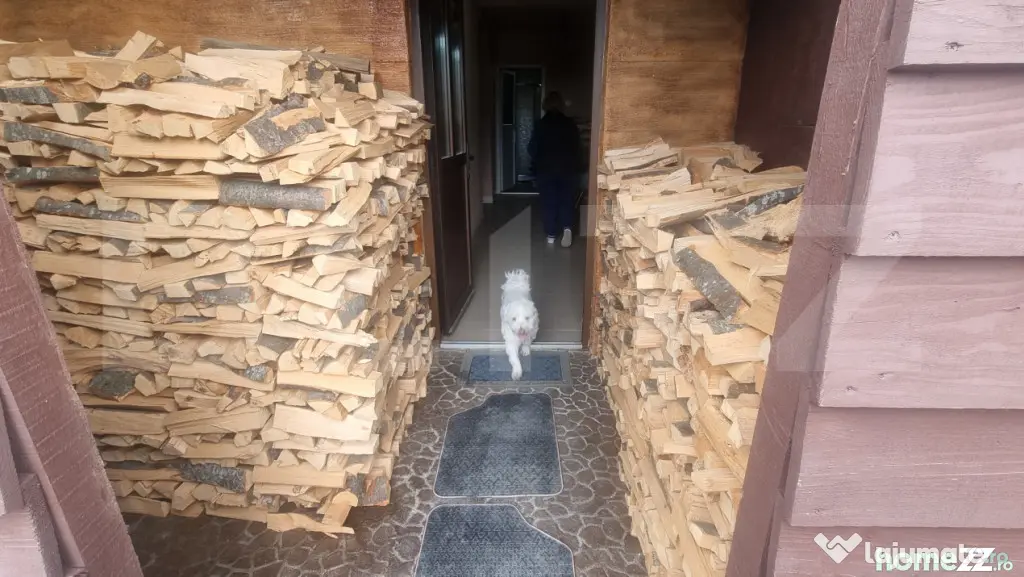 PASTRAVARIE /VILA 160 mp/3 HA teren - Baba Ana (Prahova)