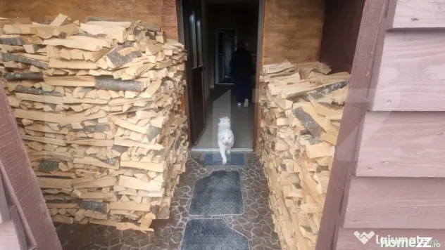 PASTRAVARIE /VILA 160 mp/3 HA teren - Baba Ana (Prahova)