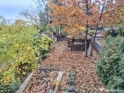 Casa Centrala de vanzare - Strada Rahovei Pitesti 