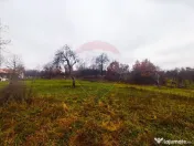 Teren de vânzare Unguraș cu priveliște si anexe 