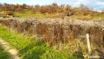 Teren extravilan de vanzare, 2400 mp, zona Valea Ghinzii