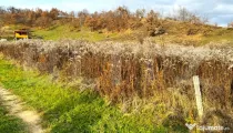Teren extravilan de vanzare, 2400 mp, zona Valea Ghinzii