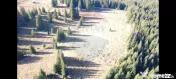 Teren 16,289mp Coverca / Drumul Bucinis 