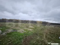 Teren intravilan, Dragutesti, 1184 mp