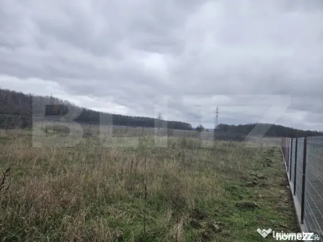 Teren intravilan, Dragutesti, 1184 mp - Targu Jiu (Gorj)