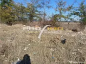 Teren 1600 mp. la cc.1km.de Mare - Eforie Sud-Castelul de Ap 