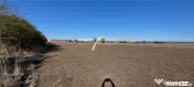 Teren 1600 mp. la cc.1km.de Mare - Eforie Sud-Castelul de Ap 