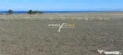 Teren 1600 mp. la cc.1km.de Mare - Eforie Sud-Castelul de Ap 