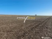 Teren 1600 mp. la cc.1km.de Mare - Eforie Sud-Castelul de Ap 