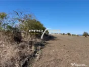 Teren 1600 mp. la cc.1km.de Mare - Eforie Sud-Castelul de Ap 