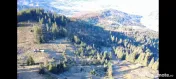 Teren 31,461mp Panaci / Prelungirea Ialovita 