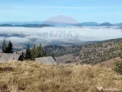 Teren 31,461mp Panaci / Prelungirea Ialovita 