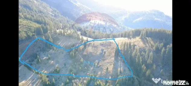 Teren 31,461mp Panaci / Prelungirea Ialovita