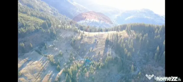 Teren 31,461mp Panaci / Prelungirea Ialovita