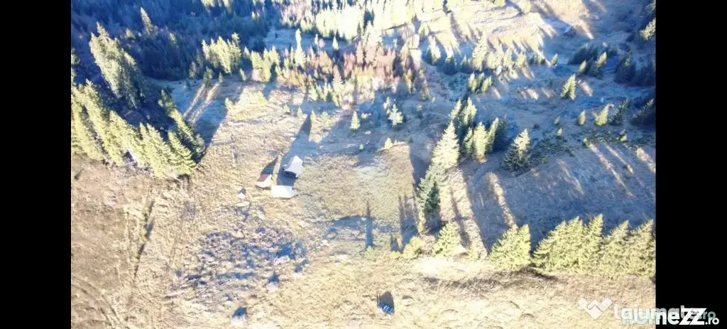 Teren 31,461mp Panaci / Prelungirea Ialovita