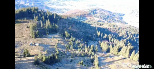 Teren 31,461mp Panaci / Prelungirea Ialovita