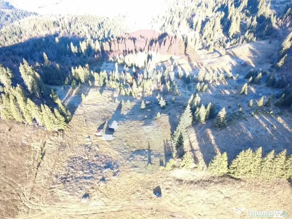 Teren 31,461mp Panaci / Prelungirea Ialovita