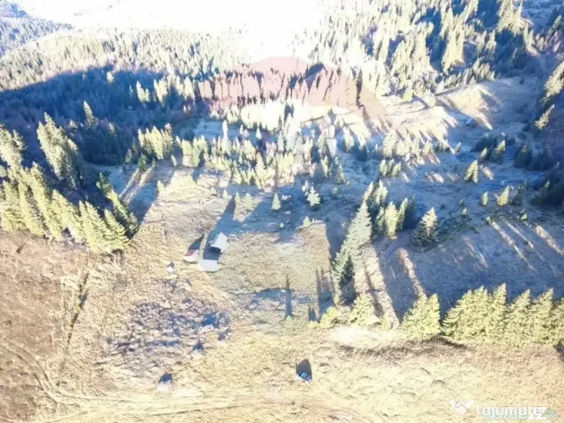 Teren 31,461mp Panaci / Prelungirea Ialovita