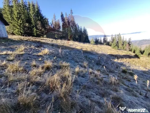 Teren 31,461mp Panaci / Prelungirea Ialovita