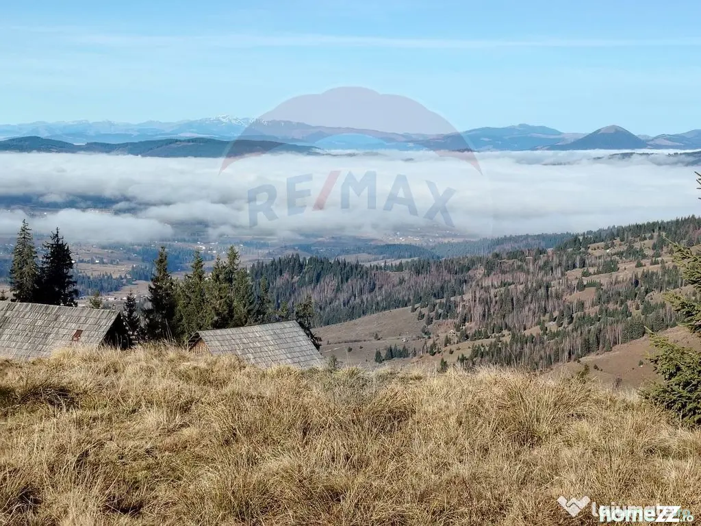 Teren 31,461mp Panaci / Prelungirea Ialovita