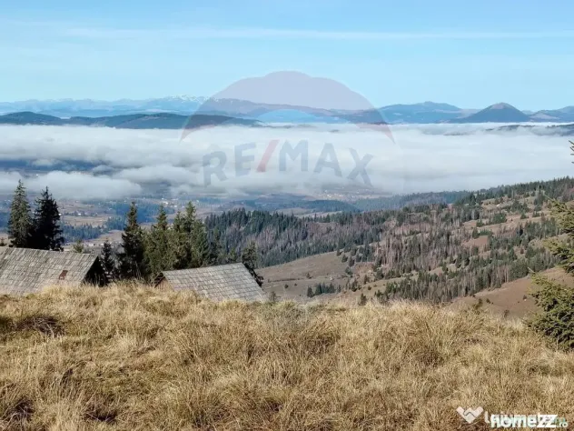 Teren 31,461mp Panaci / Prelungirea Ialovita