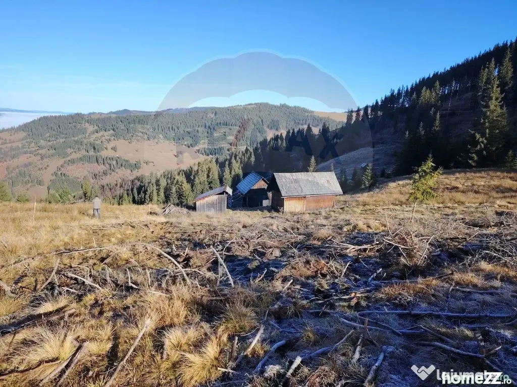 Teren 31,461mp Panaci / Prelungirea Ialovita