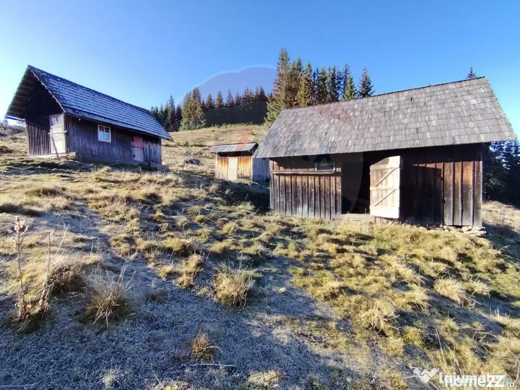 Teren 31,461mp Panaci / Prelungirea Ialovita