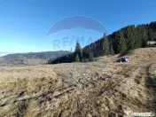 Teren 31,461mp Panaci / Prelungirea Ialovita