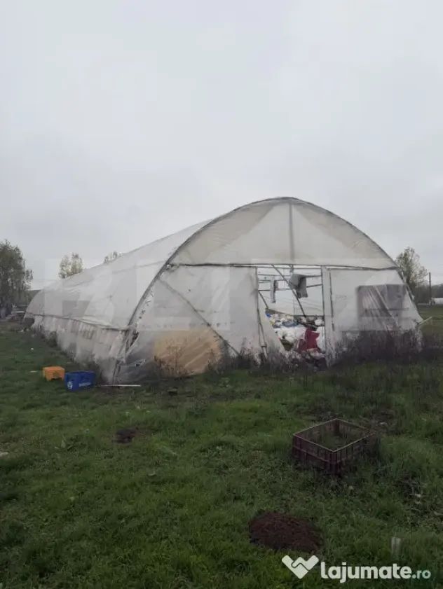 Teren intravilan agricol, sere, anexa agricola, 11500 mp ter