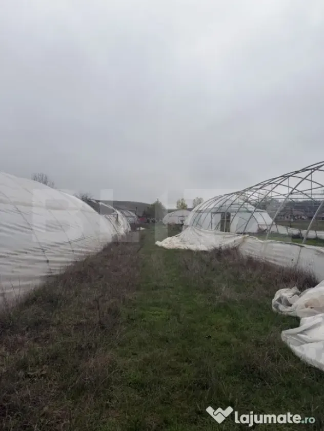 Teren intravilan agricol, sere, anexa agricola, 11500 mp ter